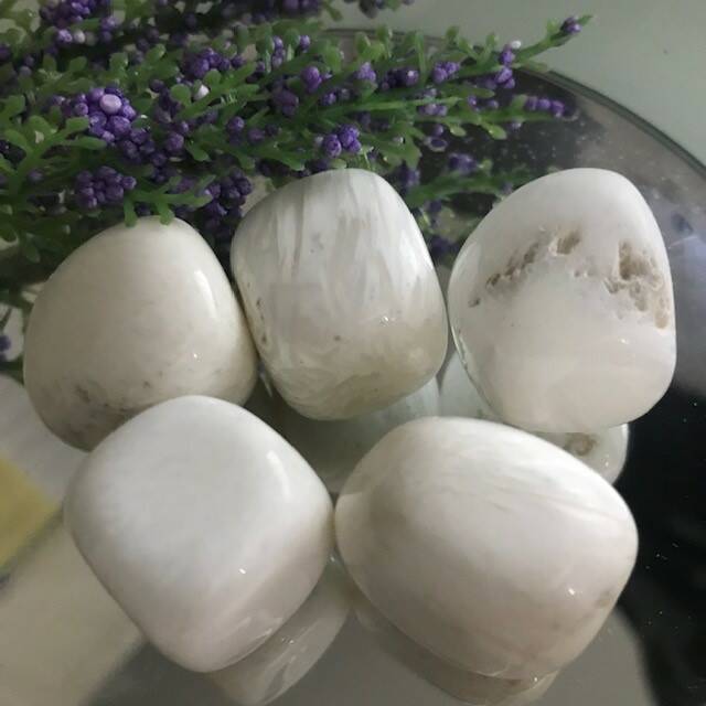 Scolercite Large tumble