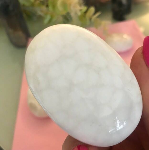 Scolercite Palmstone